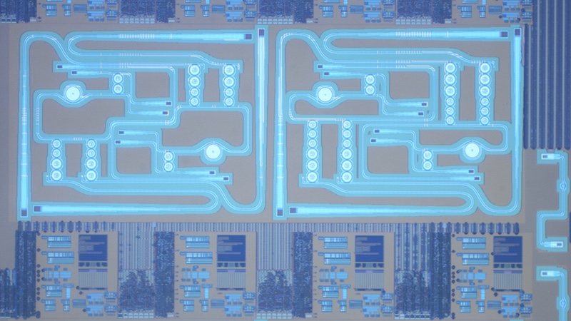A close-up image of the chip
