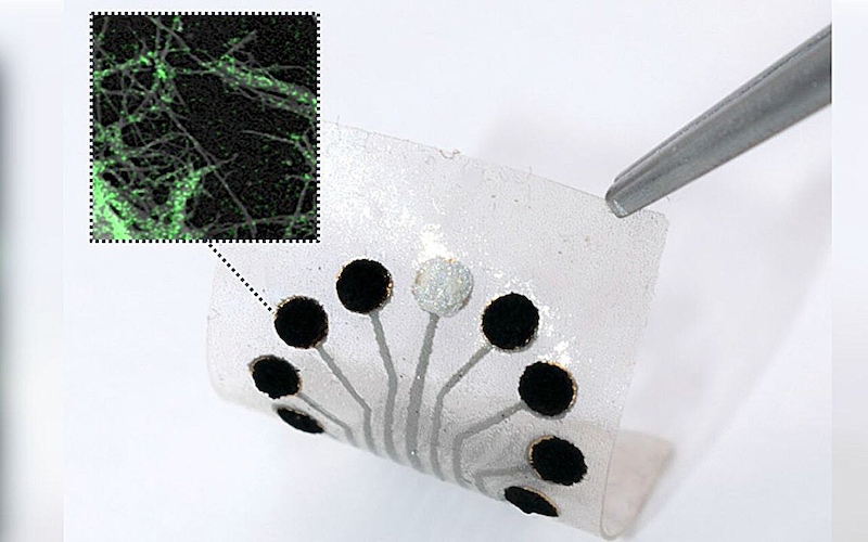 A spectroscopic image shows on-electrode molecules