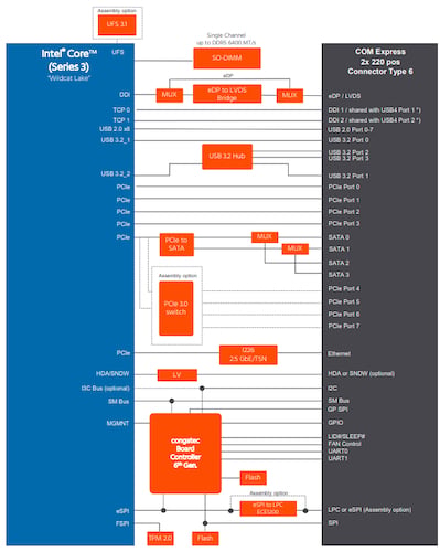 Block diagram for the conga-TC300