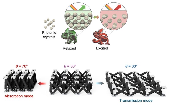 Chameleon’s color-changing mechanism
