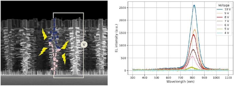 Charge carrier diffusion