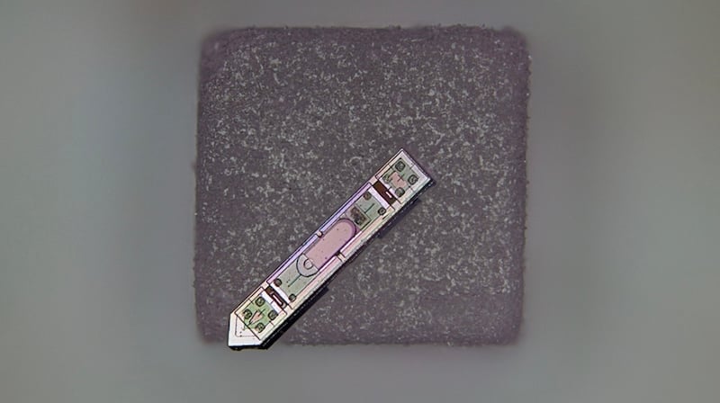 Cornell's neural implant resting on a grain of salt