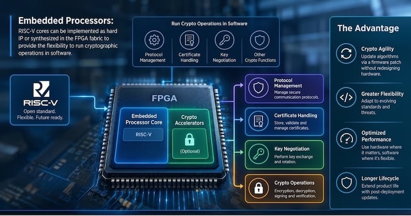 Embedded processor cores can be built to run cryptographic operations in software.