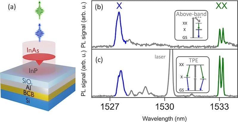 This shows the Si-compatible quantum-dot mesa structure used in the study done by Holewa and his colleagues. A single InAs quantum dot is embedded in an InP matrix with a metallic Al bottom mirror.