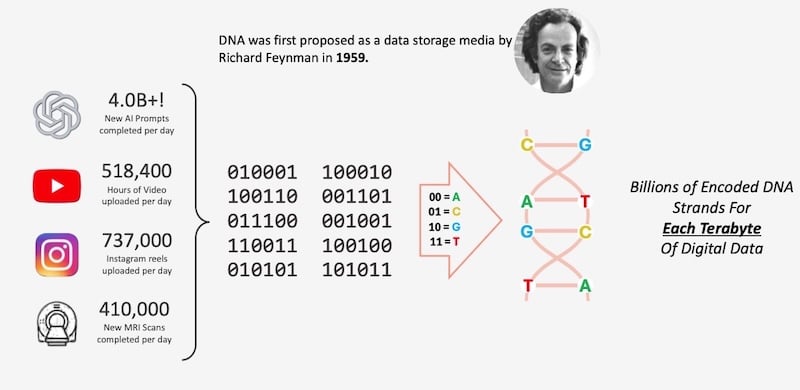 Syntentic DNA can be used to represent digital data.