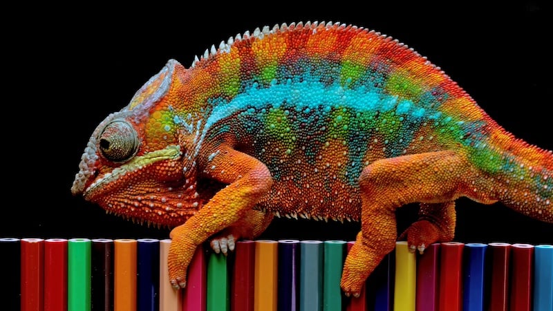Electromagnetic material inspired by chameleon