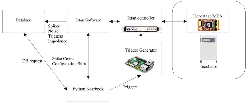 Neuroplatform's general architecture
