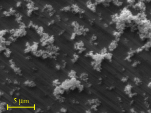 SEM image of ZnO nanoparticles