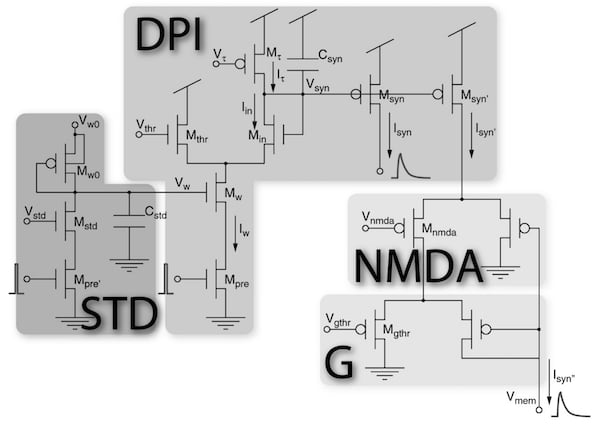 Schematic diagram of DPI