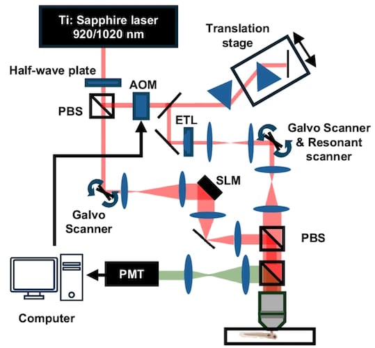 Simplified schematic representation of the two-photon optical interrogation system
