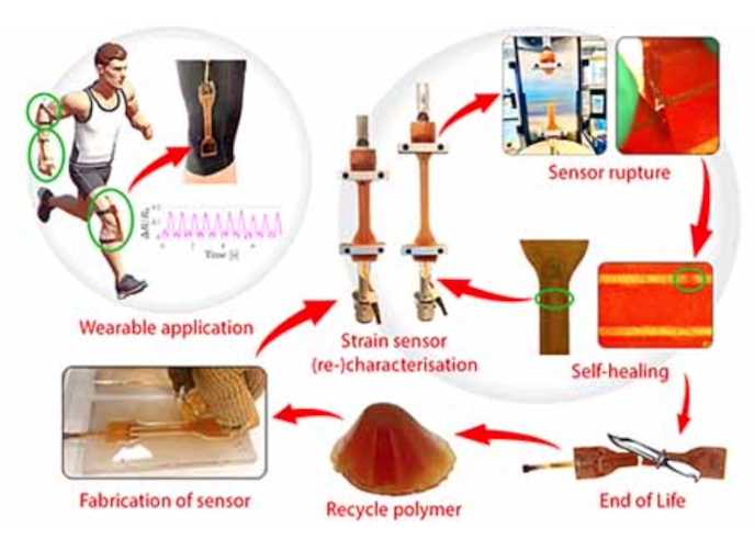 The new self-healing, reusable stretchable strain sensor