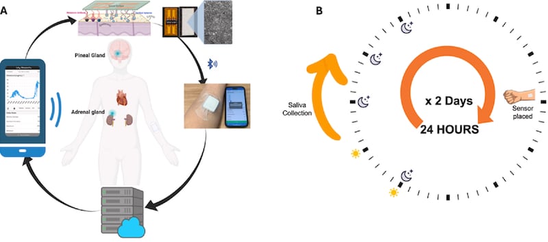 The wearable passive sweat biosensor system