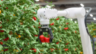 From Stationary Arms to Humanoids: The Journey of Mobile Robotics 