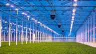 Intelligent Lighting: The Latest Future Technology Magazine Issue Has All The Resources You Need