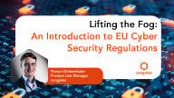 Lifting the Fog: An Introduction to EU Cyber Security Regulations
