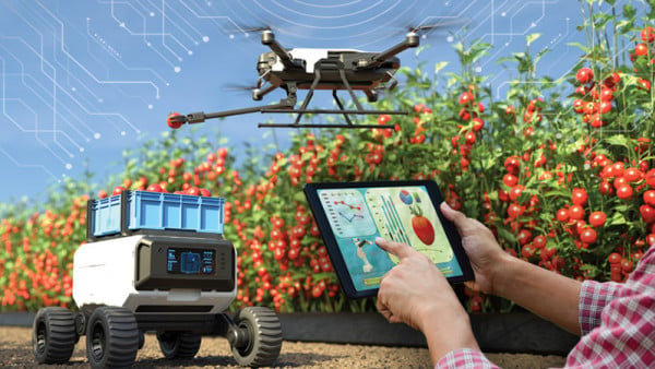Lead the Next Wave of Machine Vision and AI