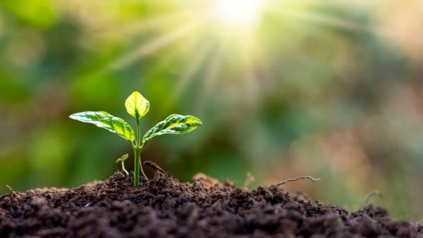 Why 90% of Component Compliance Issues Are Preventable (And How To Stop Them)