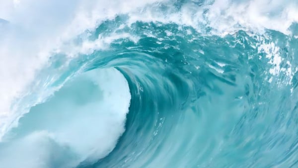 2026 IP&E Outlook: What’s Powering the Next Wave?