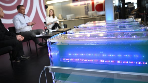Würth Elektronik at the DLD Conference: CTO Presents Cooperation in Microalgae Production