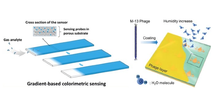 Seeing the Virus: Colorimetric Sensors Identify Airborne Threats by ...