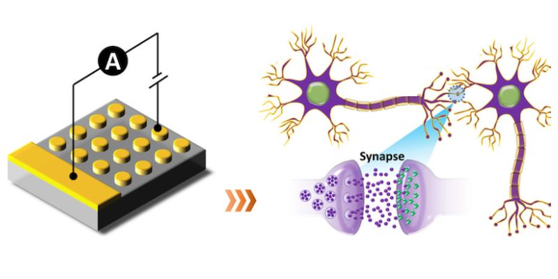 Interface-type Memristive Device Pushes Neuromorphic Computing Onward ...