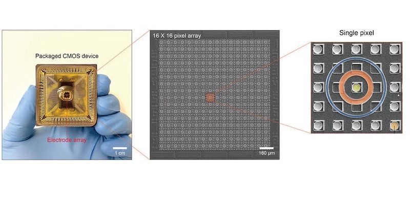 Harvard-made Ionic Circuit Computes in Water - News