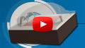 Lumileds LUXEON SunPlus Series LED | New Product Brief