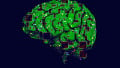 “Partnership on AI” Gathers Tech Giants and Academics to Develop AI Responsibly