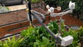 FarmBot Intends to Revolutionize Home Gardening