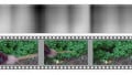 MIT Deep Learning Algorithm Passes an Important First Test