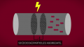 Electrical Engineers and Chocolatiers Have Created Something Delicious