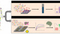 Electronic Nose Uses Solid-state Sensors and Neural Processor to “Sniff Out” COVID-19