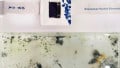 Researchers Race to (Literally) Dissolve the Issue of E-Waste