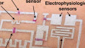 “Drawn-on-Skin” Electronics Gather Data During Motion
