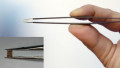 Packing More Brains Into Buds: Multi-Feature AI on Tiny Silicon