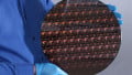IBM’s 2 nm Chip Dazzles with 50 Billion Transistors in Tiny Package