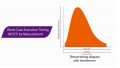 Using Worst-Case Execution Time Analysis to Uncover Hidden Timing Couplings 