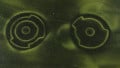 Printed Magnetics Could Revolutionize Magneto-Mechanical Devices