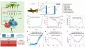 Engineers Create Low-Power Collision Detector Inspired by Locusts