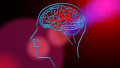 Tracking Every Neuron: The Future of Medical Research Lies in Processing Time