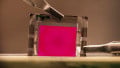 Are Perovskite LEDs an Up-and-Comer on the Display Scene?