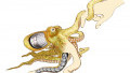Soft Robotics Octopus Arms Bring Flexibility to Robotic Movement