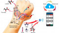Powered by Human Sweat, A New Electronic Skin Can Send Biometrics via Bluetooth