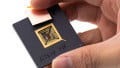 Is 2017 the Year that RISC-V Will Catch on?