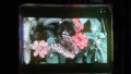 Saphlux Brightens AR/VR Micro-LED Displays With Nanoporous Quantum Dots