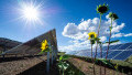 Solar Materials of the Future are Great on Performance. But What About Toxicity?