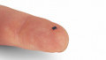 Edge AI Chips for Voice-Activated Devices Save Power, Protect Privacy