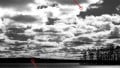 Understanding Dynamic Range in Imaging Systems