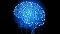 DSPs Power Deep Learning SoCs