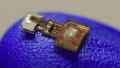 Graphene and Magnetics On the Brain: Researching Bioelectronic Brain Implants